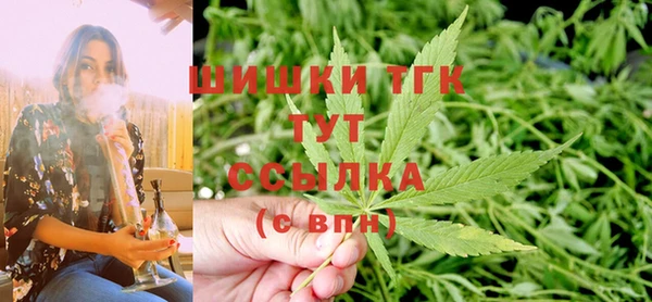 ПСИЛОЦИБИНОВЫЕ ГРИБЫ Вязники